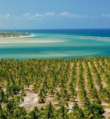 Um passeio inesquecível: Conheça as belezas da praia do Gunga